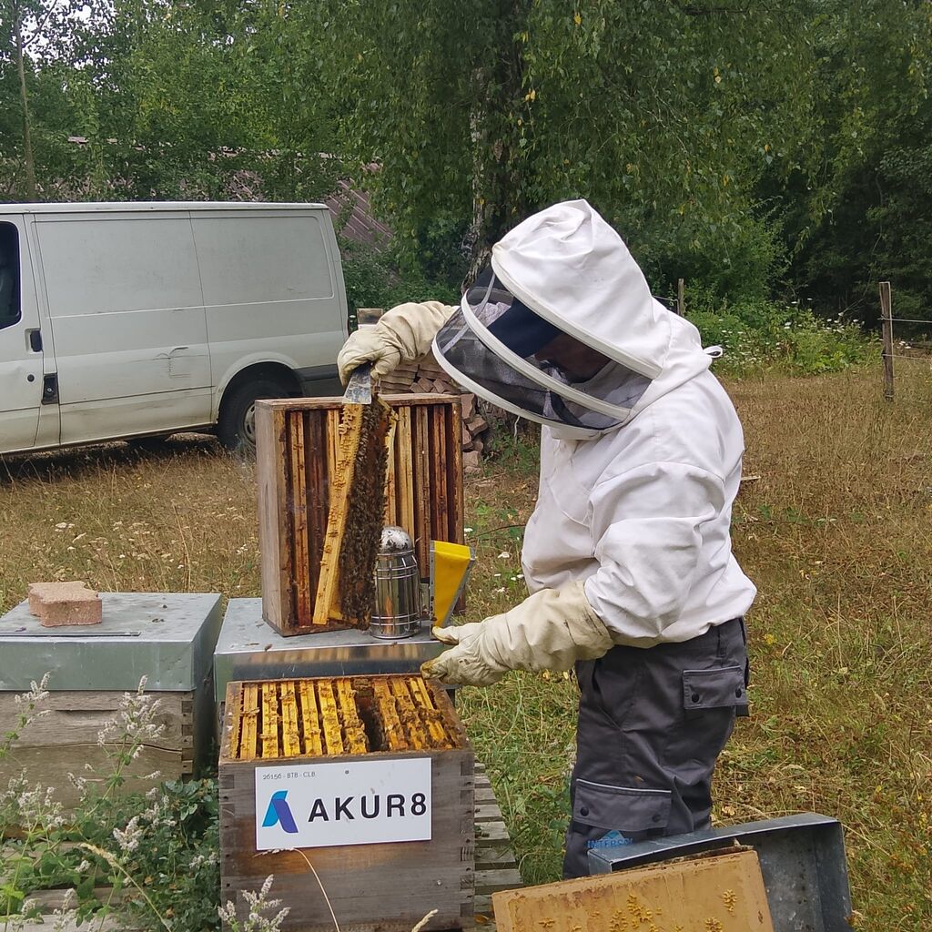 La ruche AKUR8
