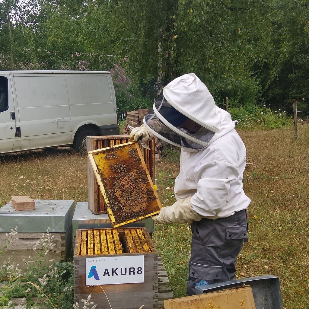 La ruche AKUR8