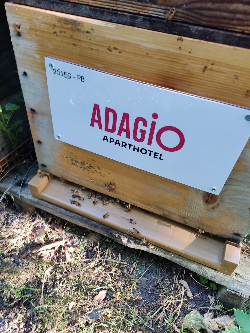 La ruche Adagio Paris Suresnes Longchamp