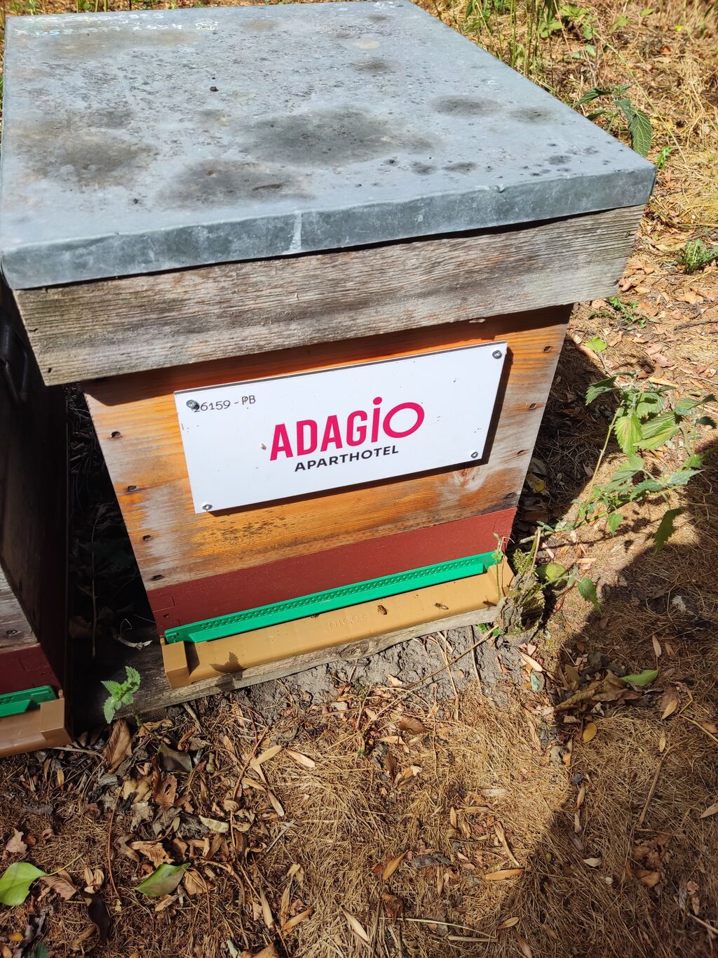 La ruche Pvcp-city adagio sureses