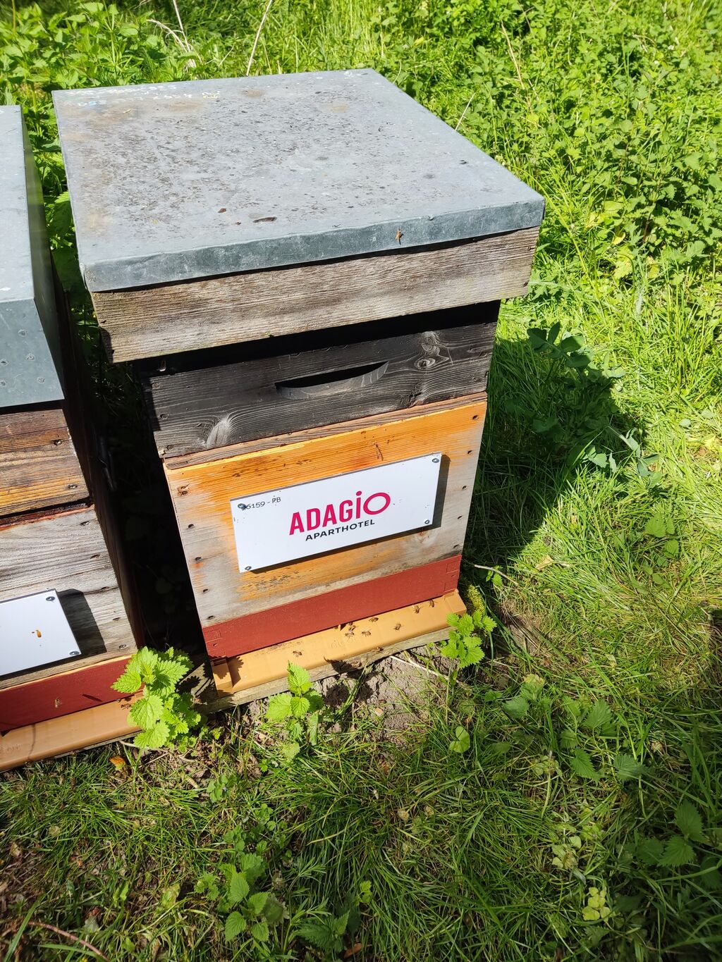 La ruche Pvcp-city adagio sureses