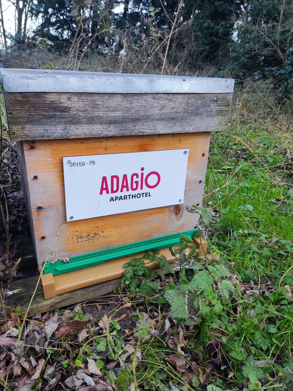 La ruche Adagio Paris Suresnes Longchamp