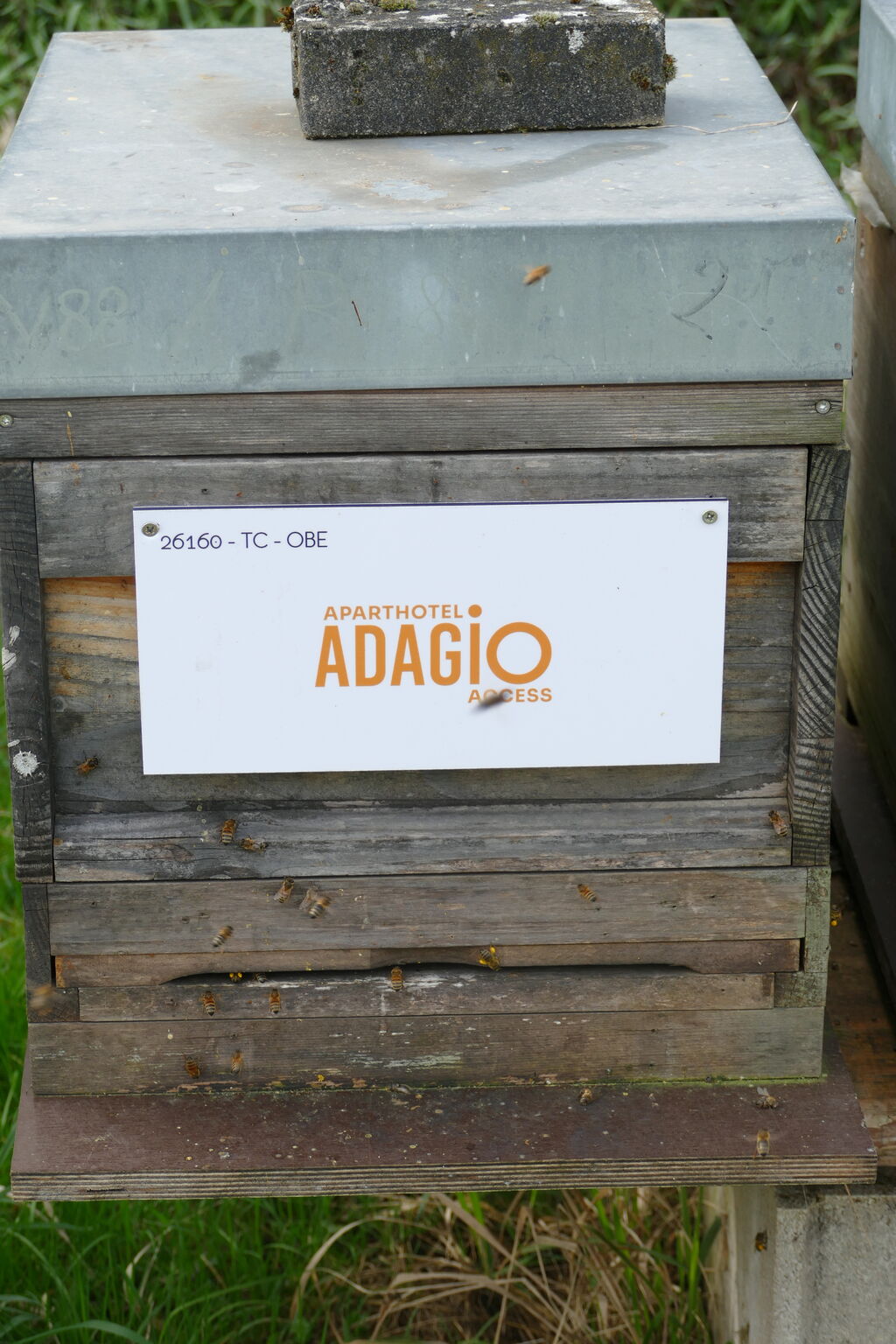 La ruche Adagio access Strasbourg Petite France