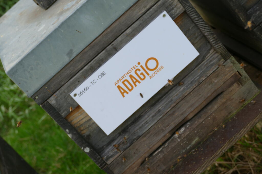 La ruche Adagio access Strasbourg Petite France