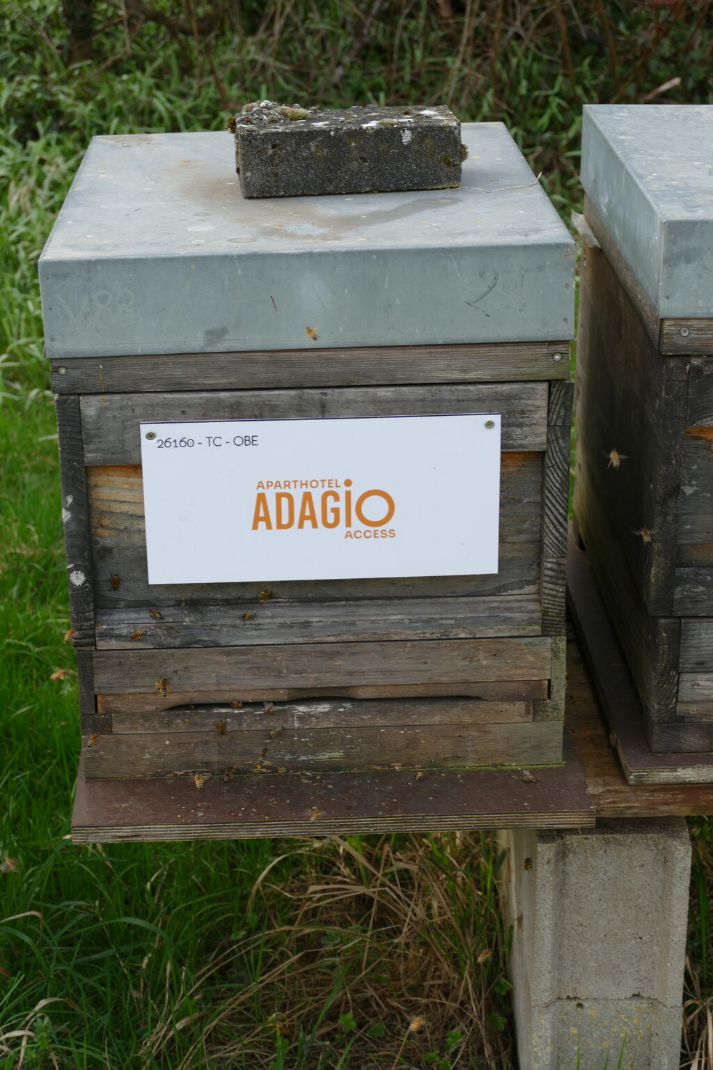 La ruche Adagio access Strasbourg Petite France