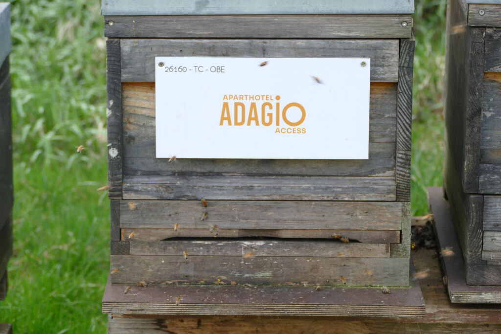 La ruche Adagio access Strasbourg Petite France