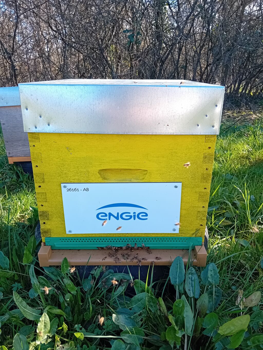 La ruche ENGIE - MPPA