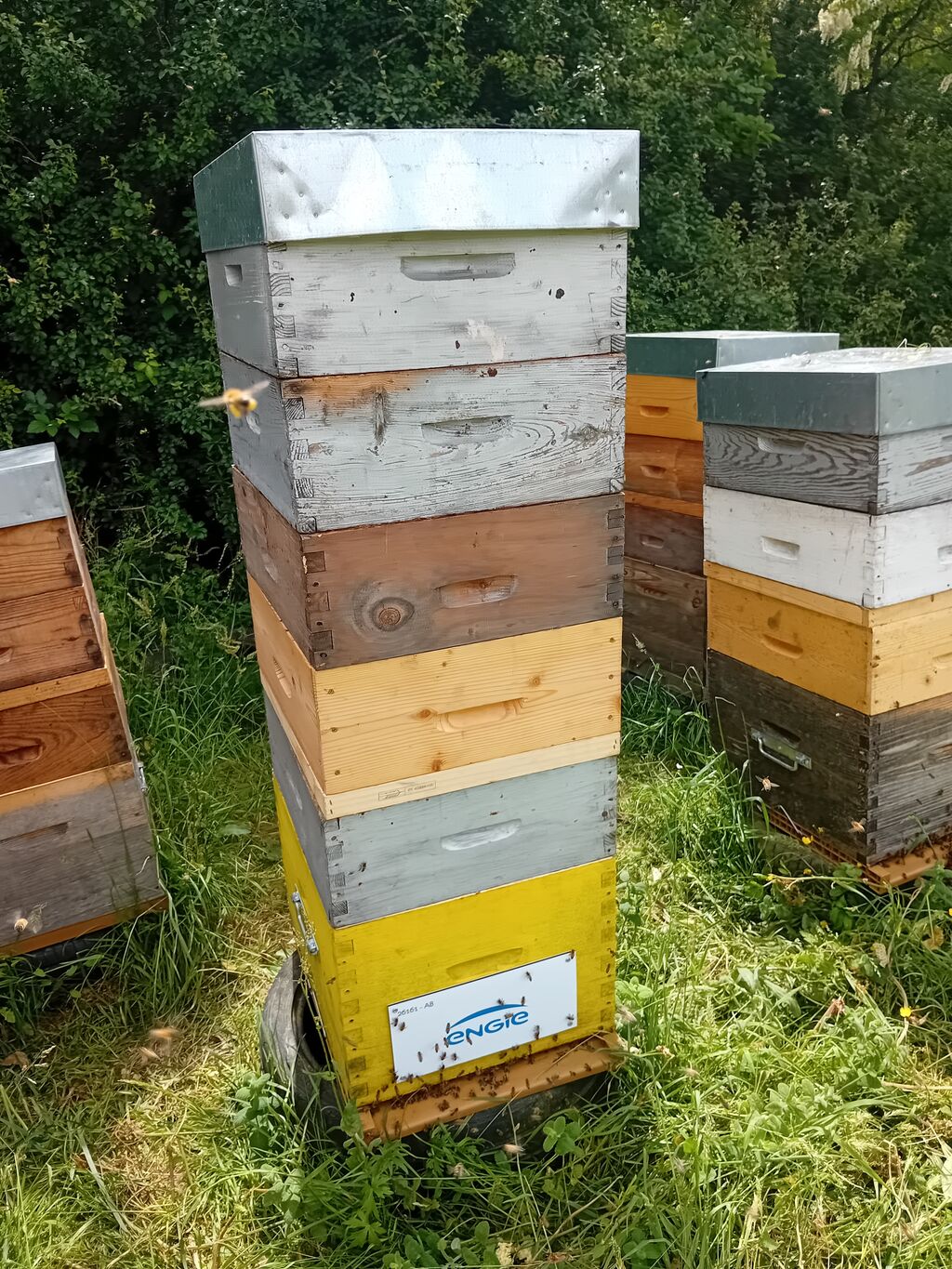 La ruche ENGIE - MPPA