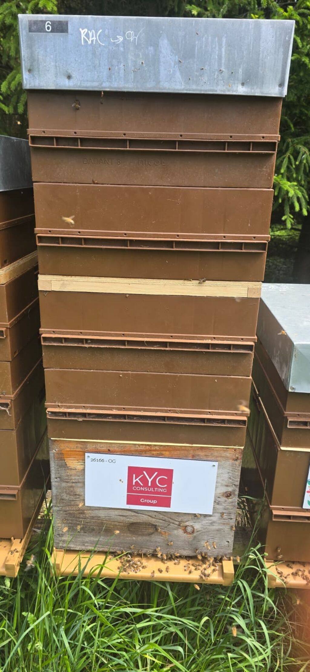 La ruche Kyc consulting