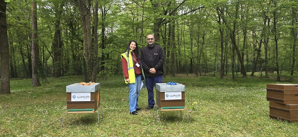La ruche LUXIUM