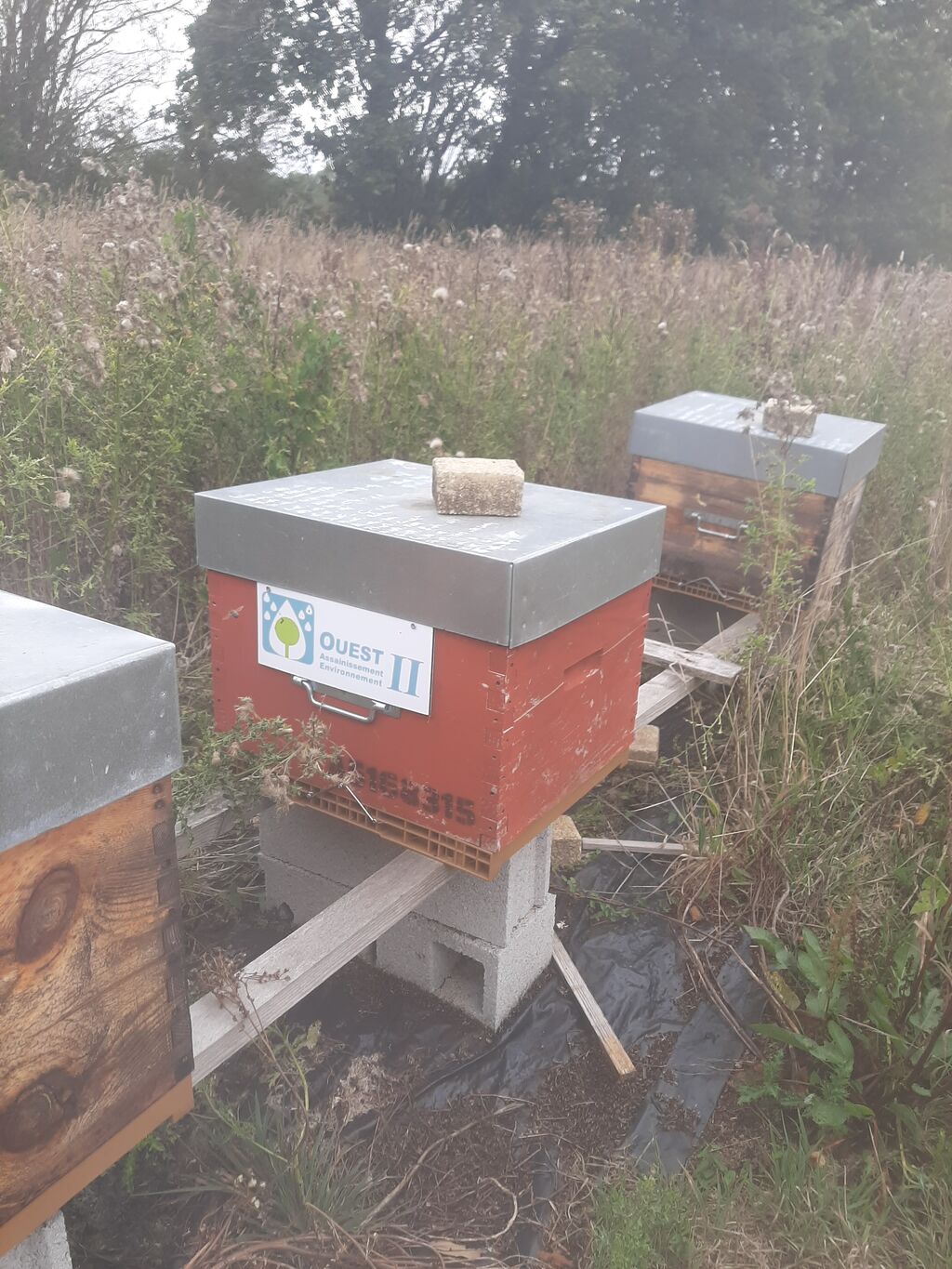 La ruche OUEST ASSAINISSEMENT ENVIRONNEMENT 29