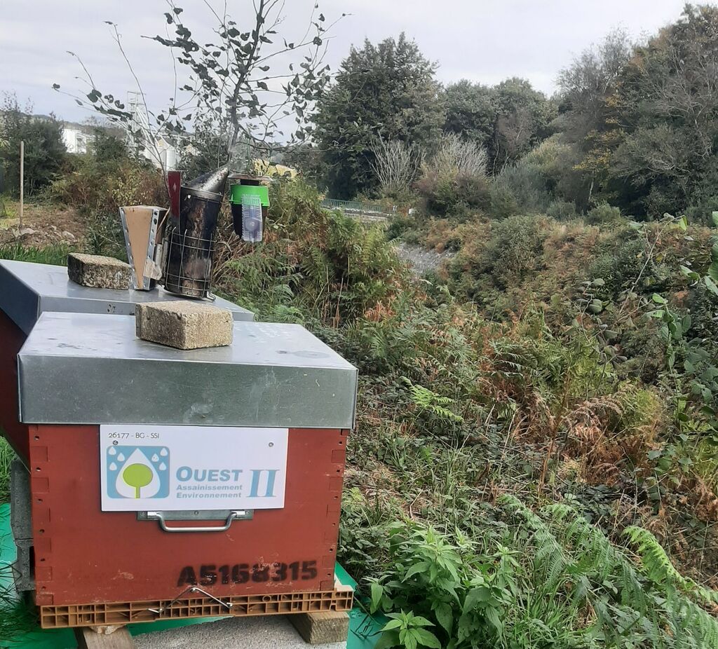 La ruche OUEST ASSAINISSEMENT ENVIRONNEMENT 29