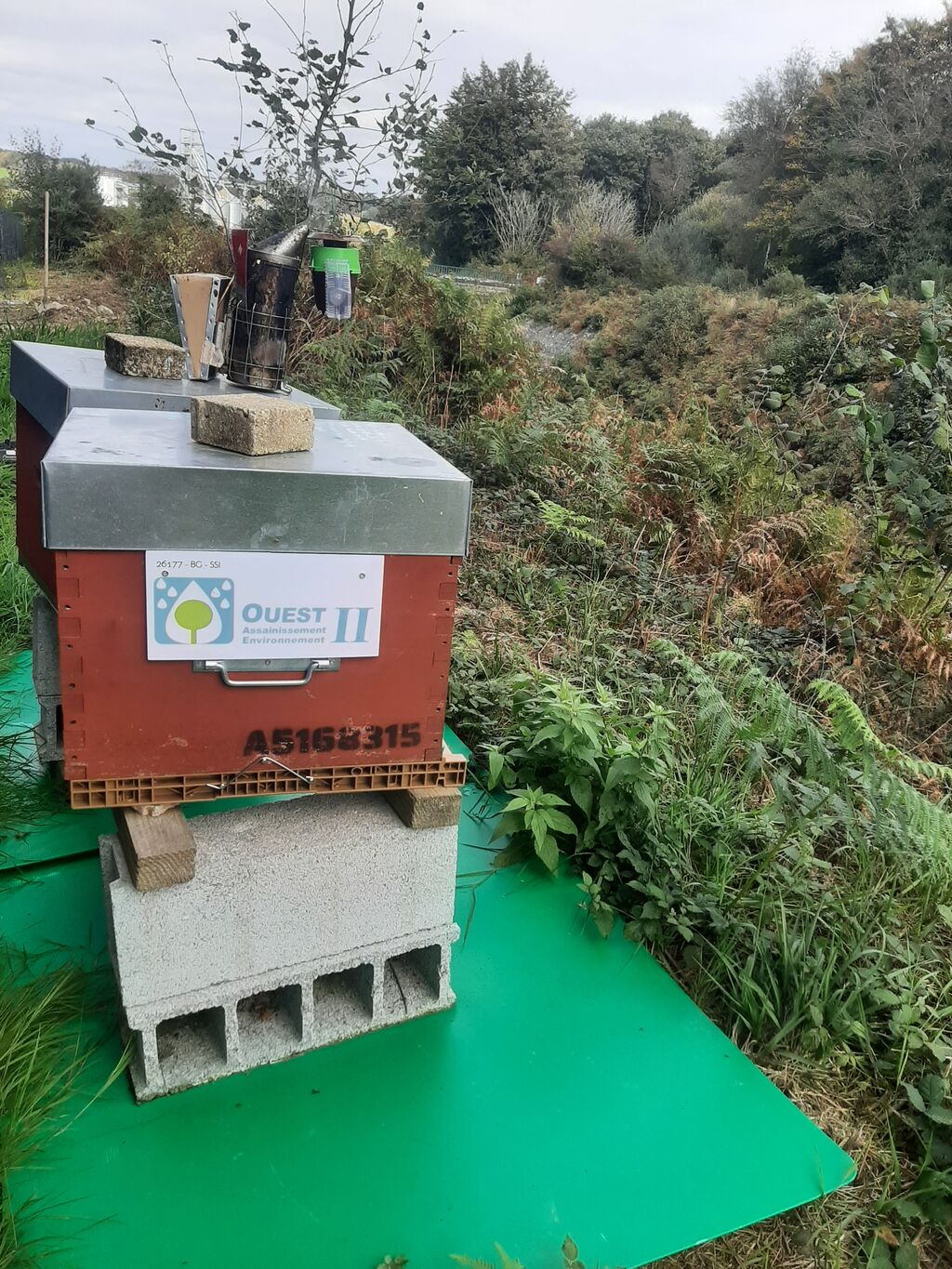 La ruche OUEST ASSAINISSEMENT ENVIRONNEMENT 29