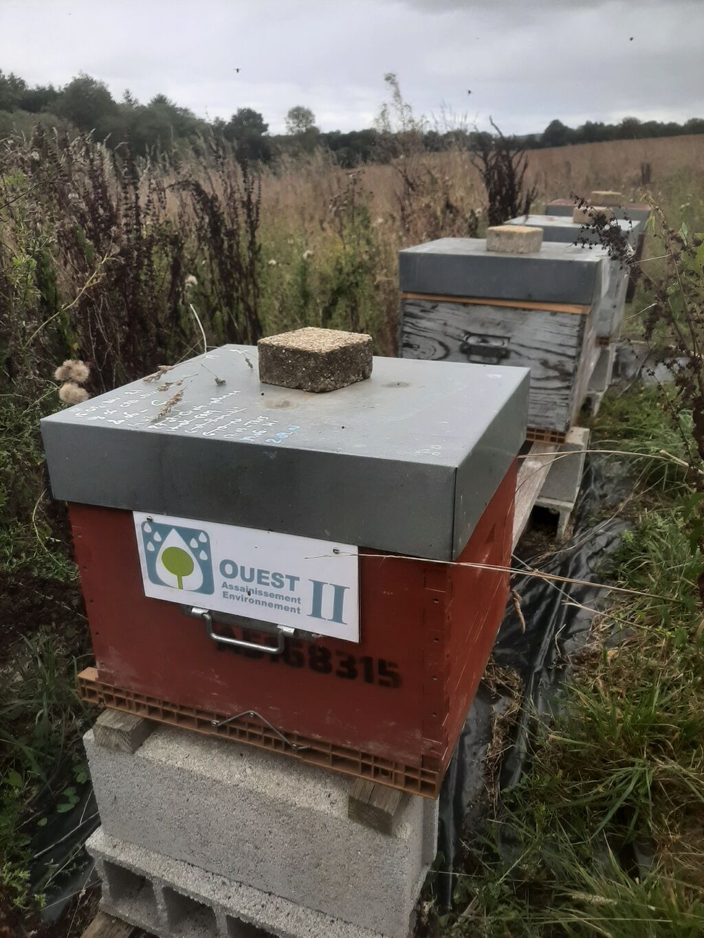 La ruche OUEST ASSAINISSEMENT ENVIRONNEMENT 29