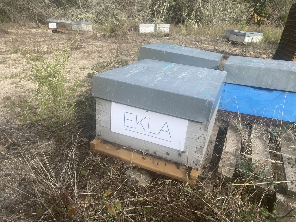 La ruche Ekla