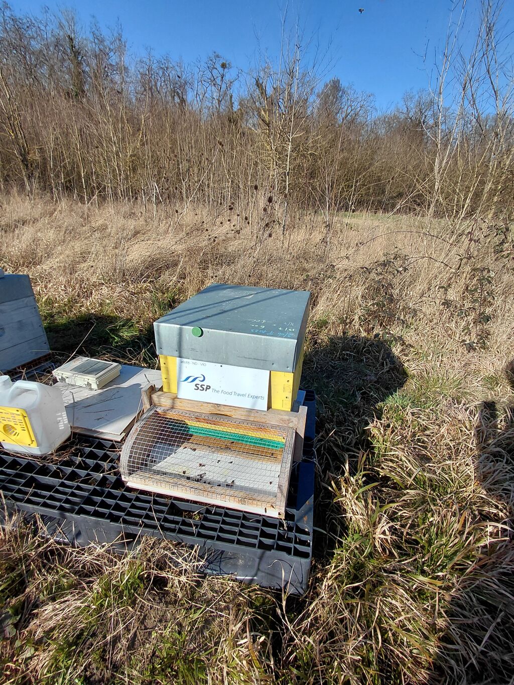 La ruche SSP