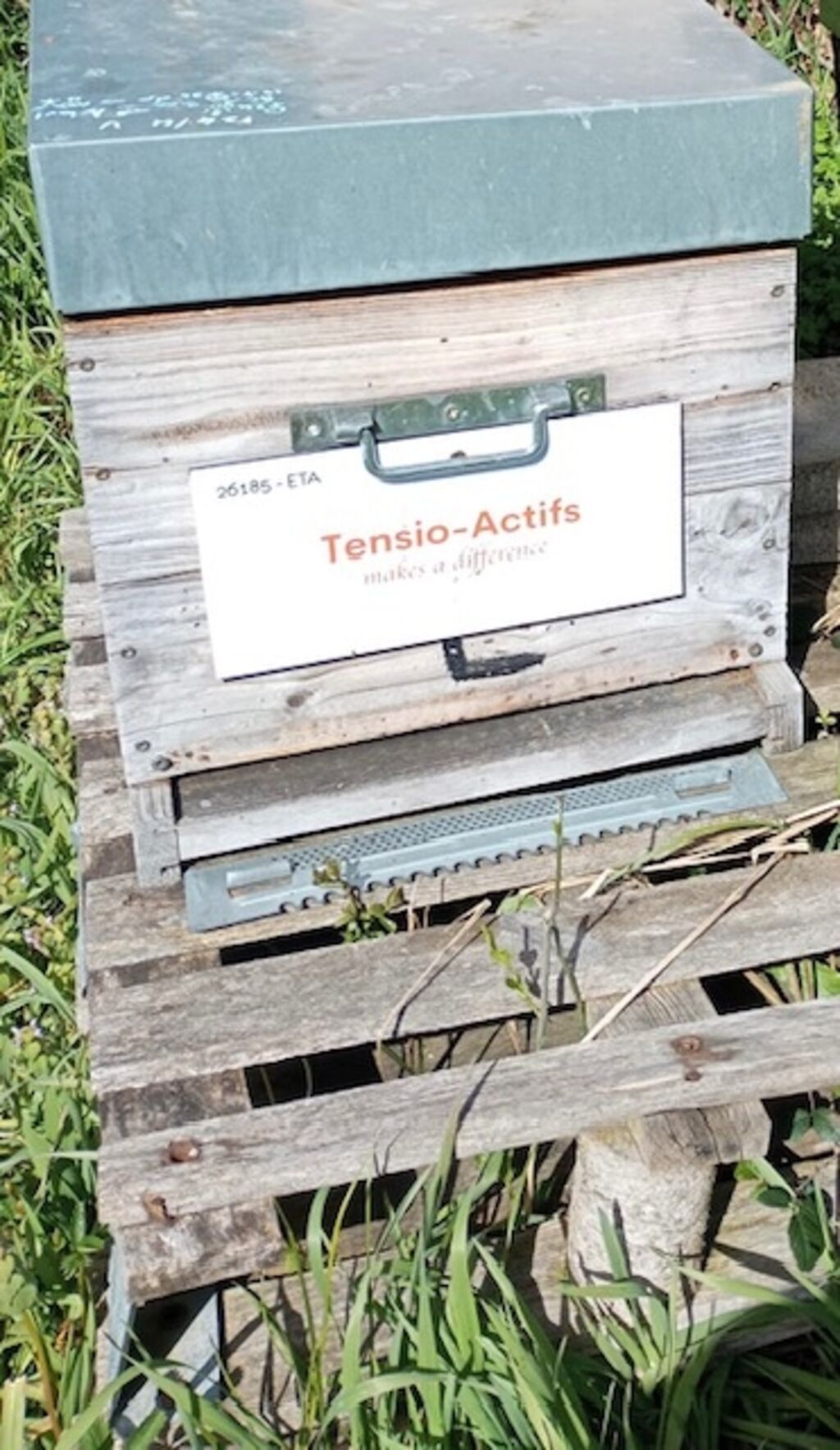 La ruche Tensio-Actifs