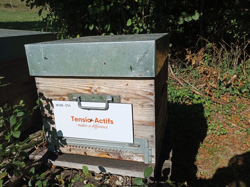 La ruche Tensio-Actifs