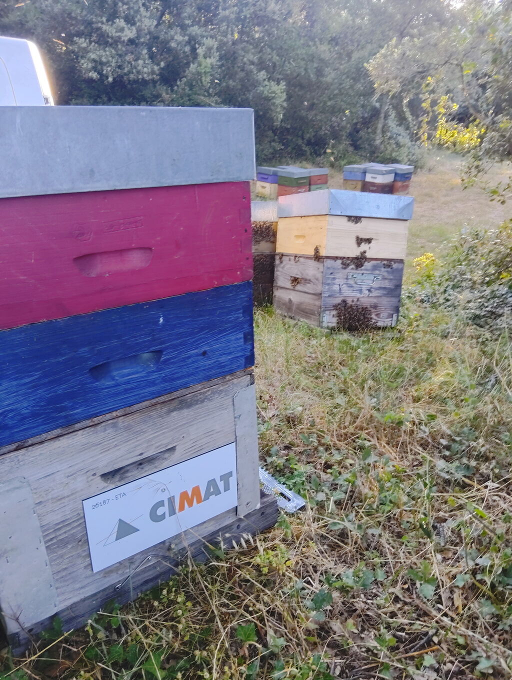 La ruche CIMAT Grenoble
