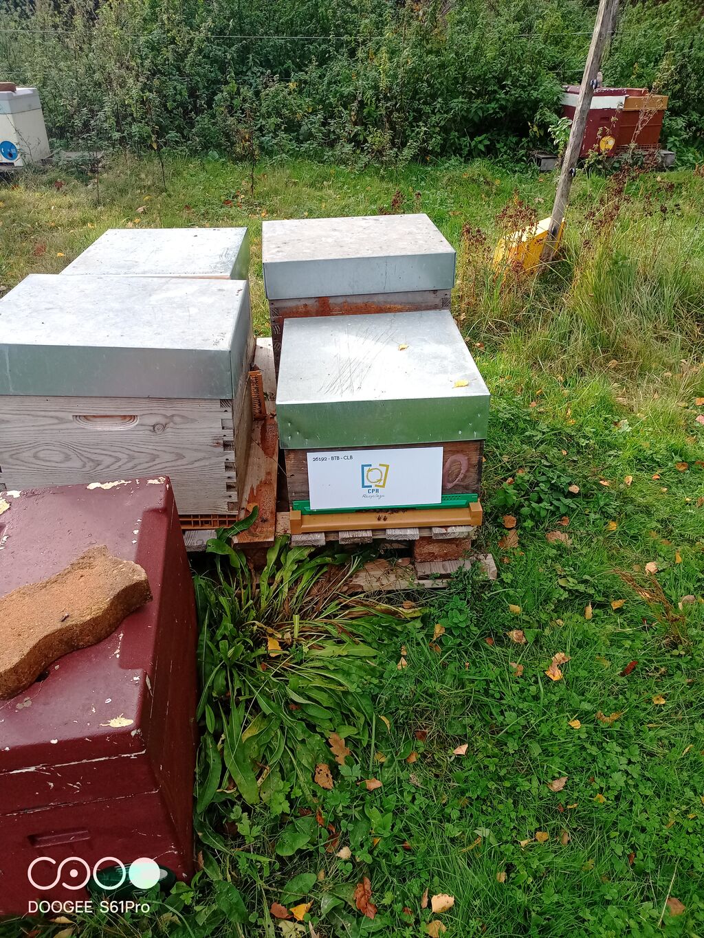 La ruche CENTRE PARISIEN DE RECYCLAGE