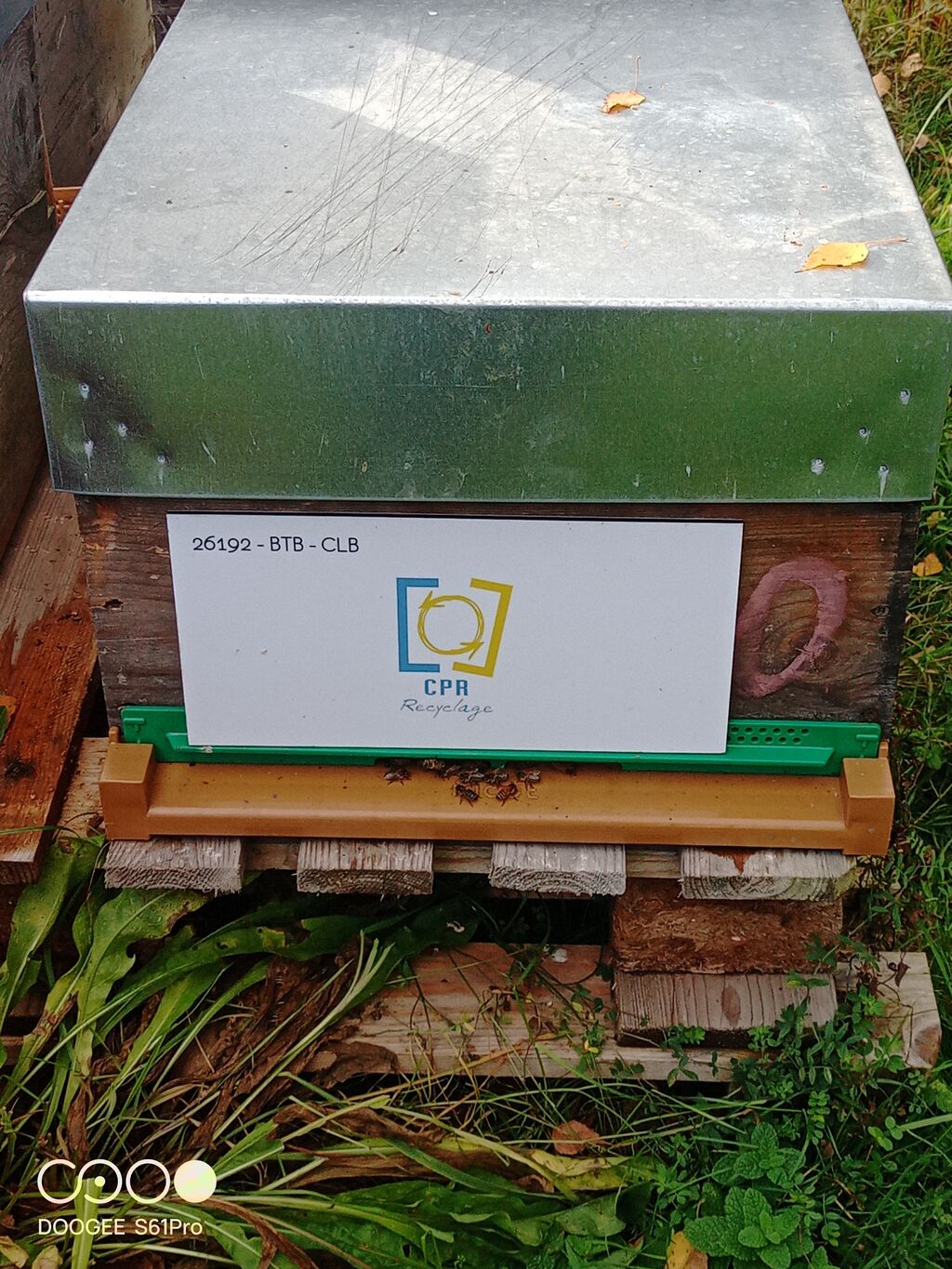 La ruche CENTRE PARISIEN DE RECYCLAGE