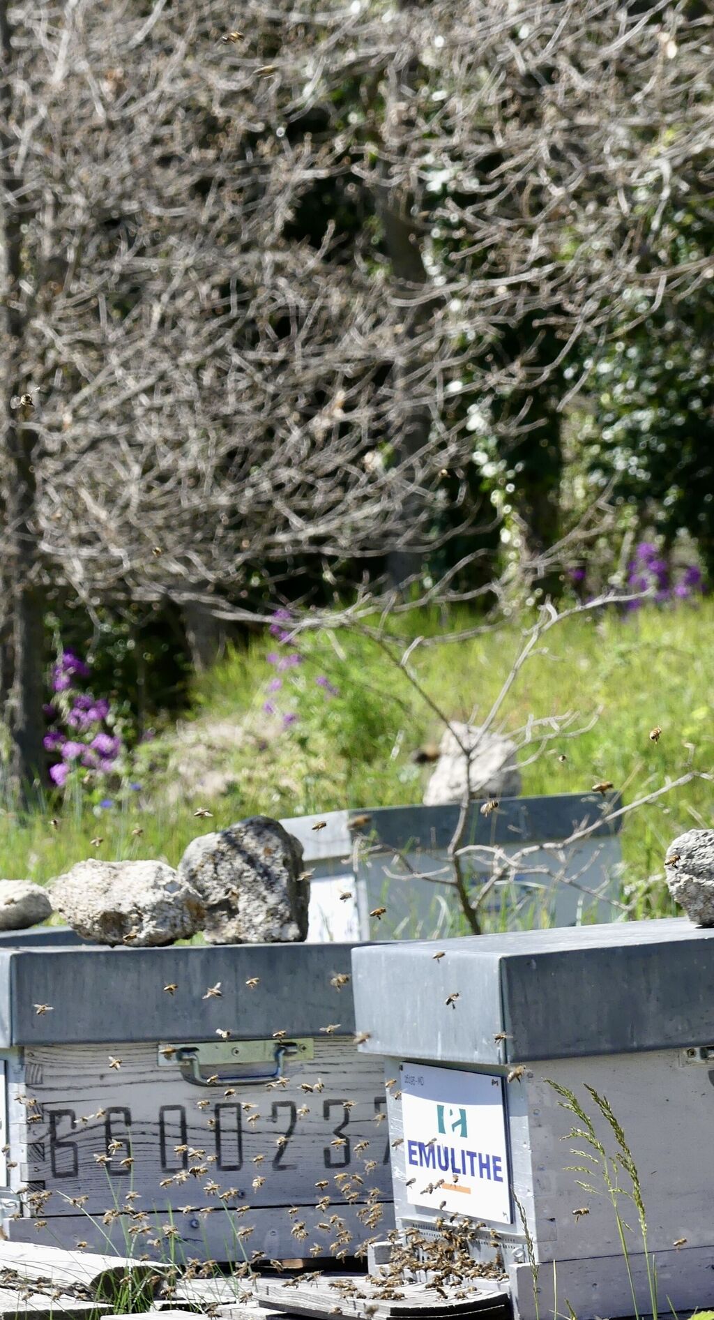La ruche EMULITHE