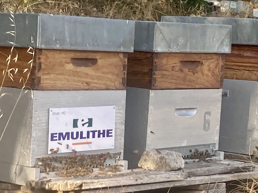 La ruche EMULITHE