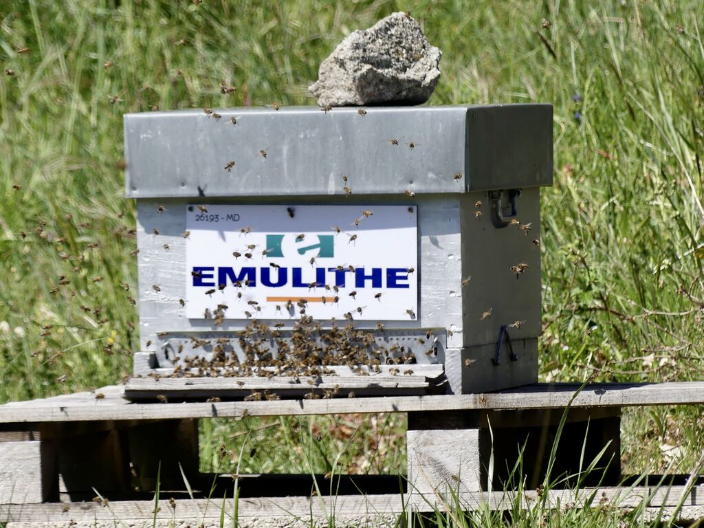 La ruche EMULITHE
