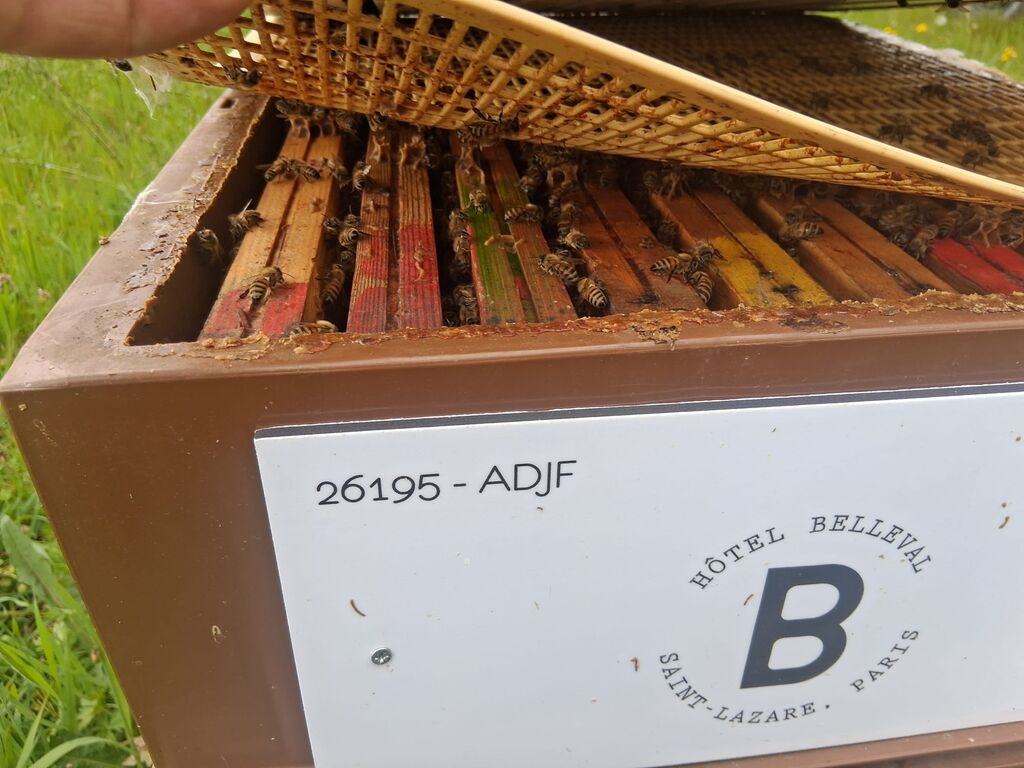 La ruche Société Hôtelière de la Pépinière