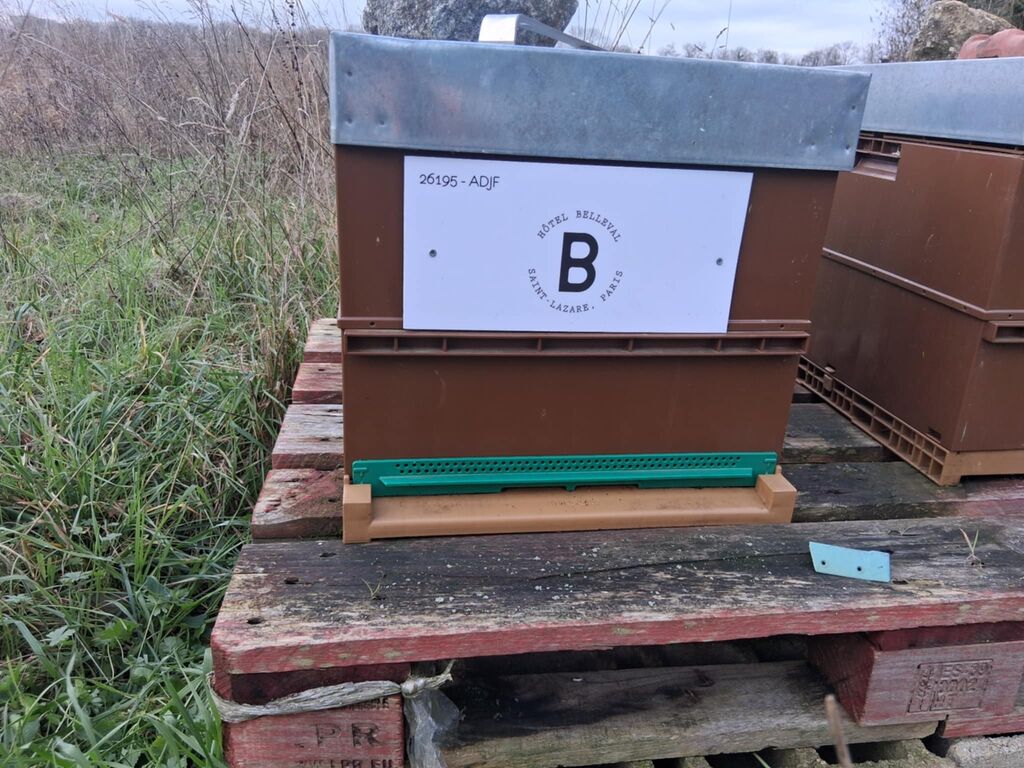 La ruche Société Hôtelière de la Pépinière