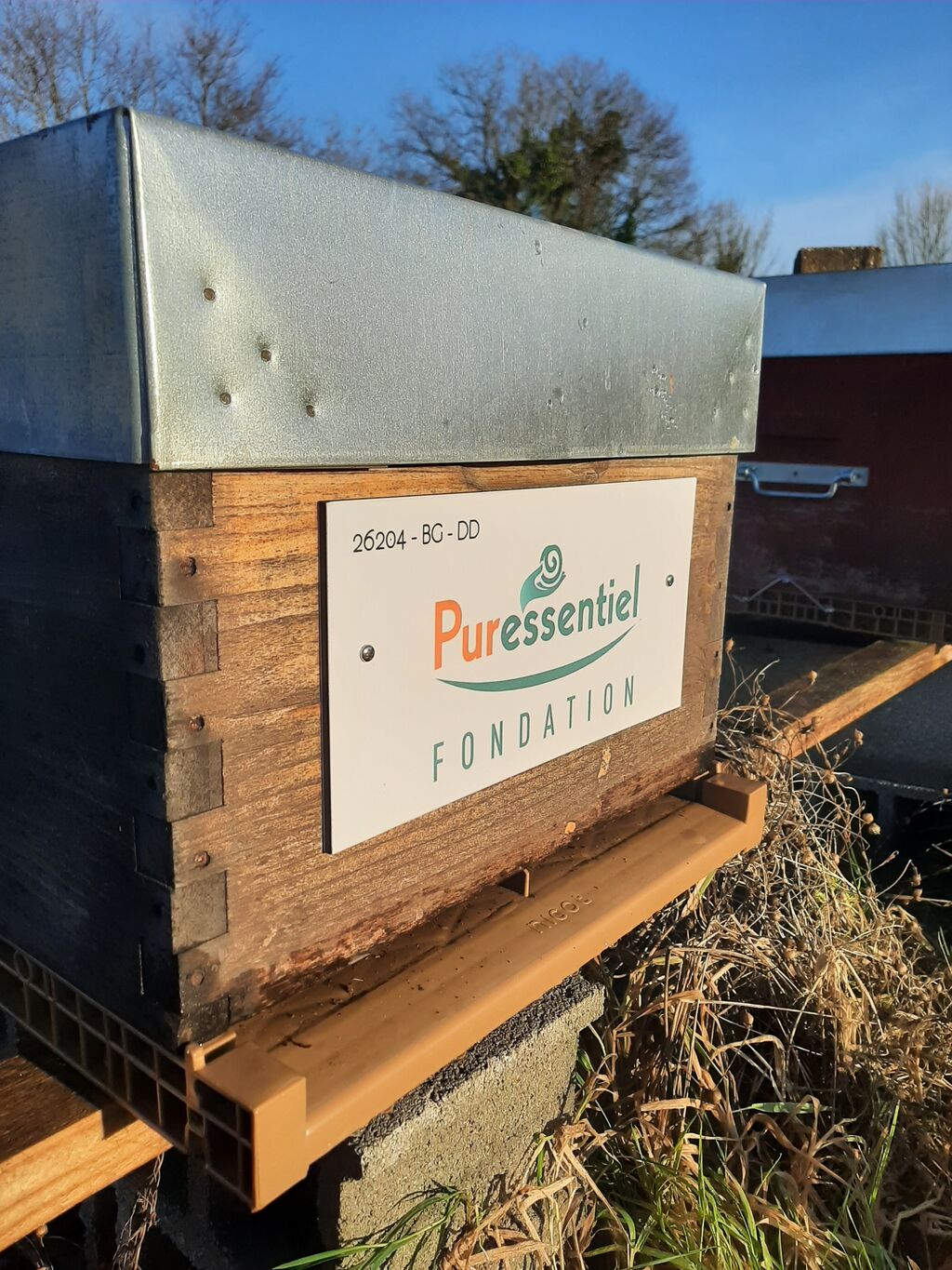 La ruche FONDATION PURESSENTIEL