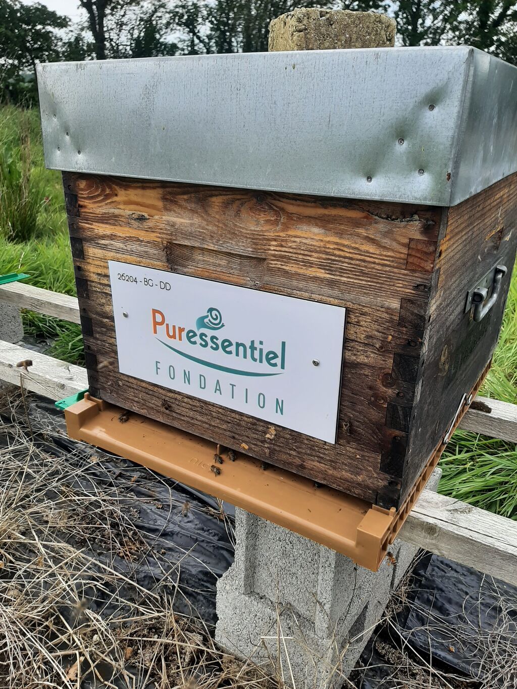 La ruche FONDATION PURESSENTIEL