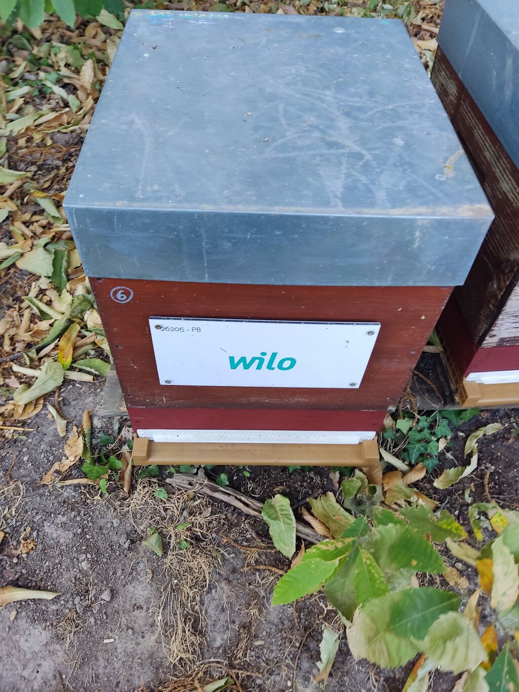 La ruche Wilo intec