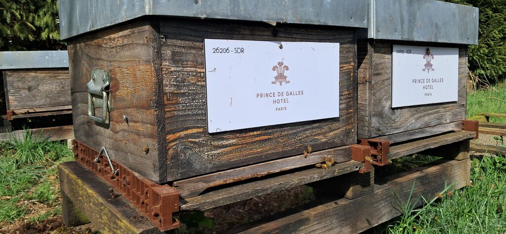 La ruche Hotel prince de galles