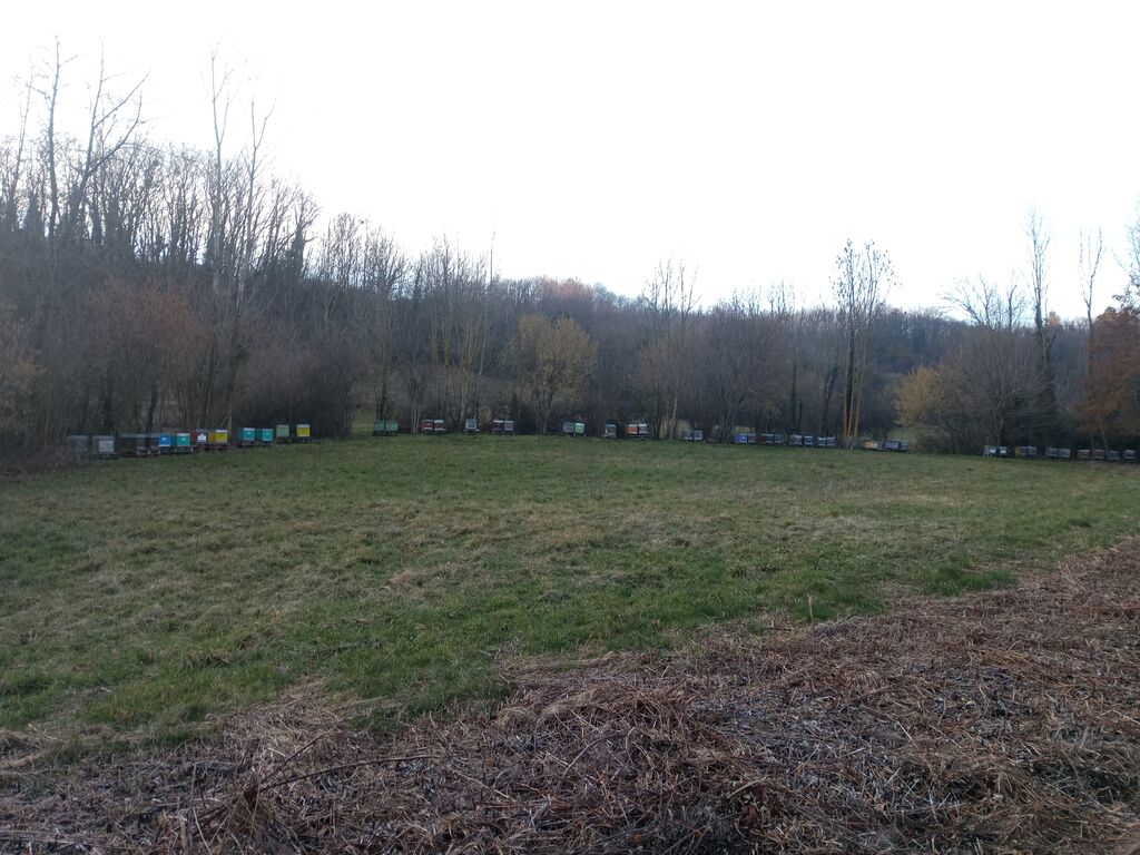 La ruche FOSELEV RHONE ALPES LYON