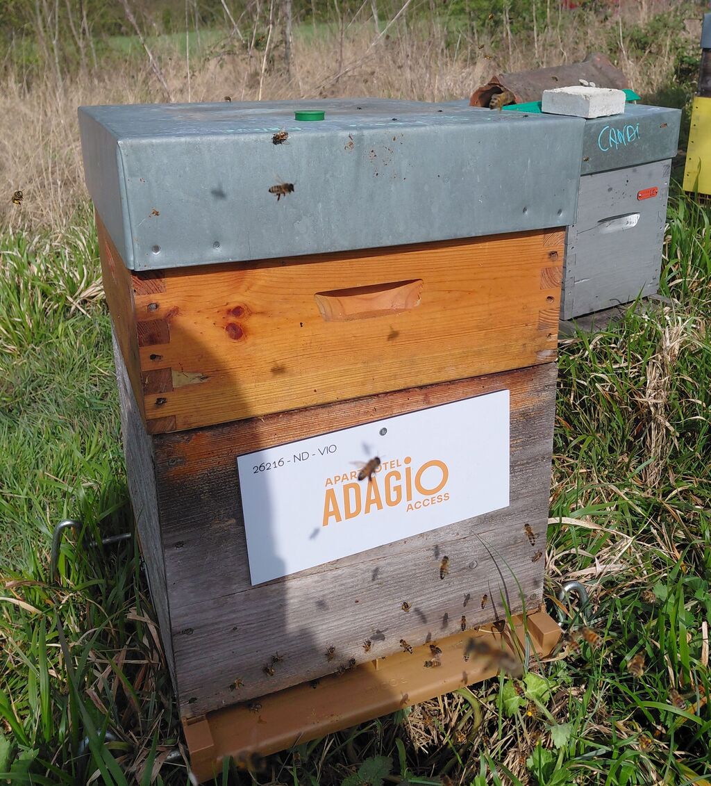 La ruche Adagio access paris porte charenton