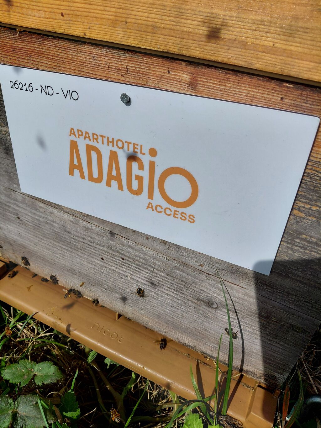 La ruche Adagio access paris porte charenton