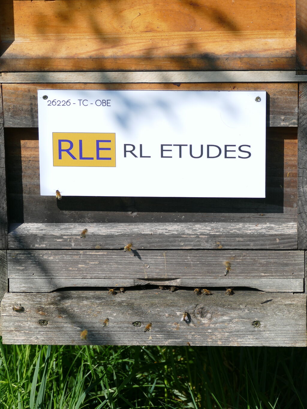 La ruche RL ETUDES