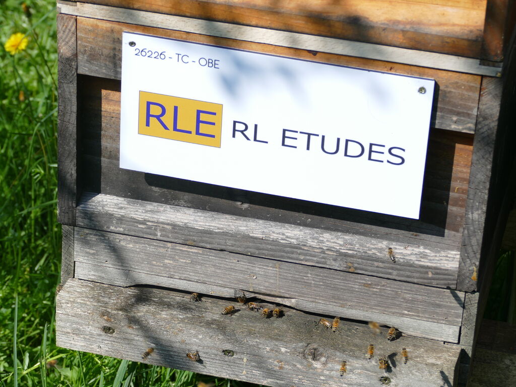 La ruche RL ETUDES
