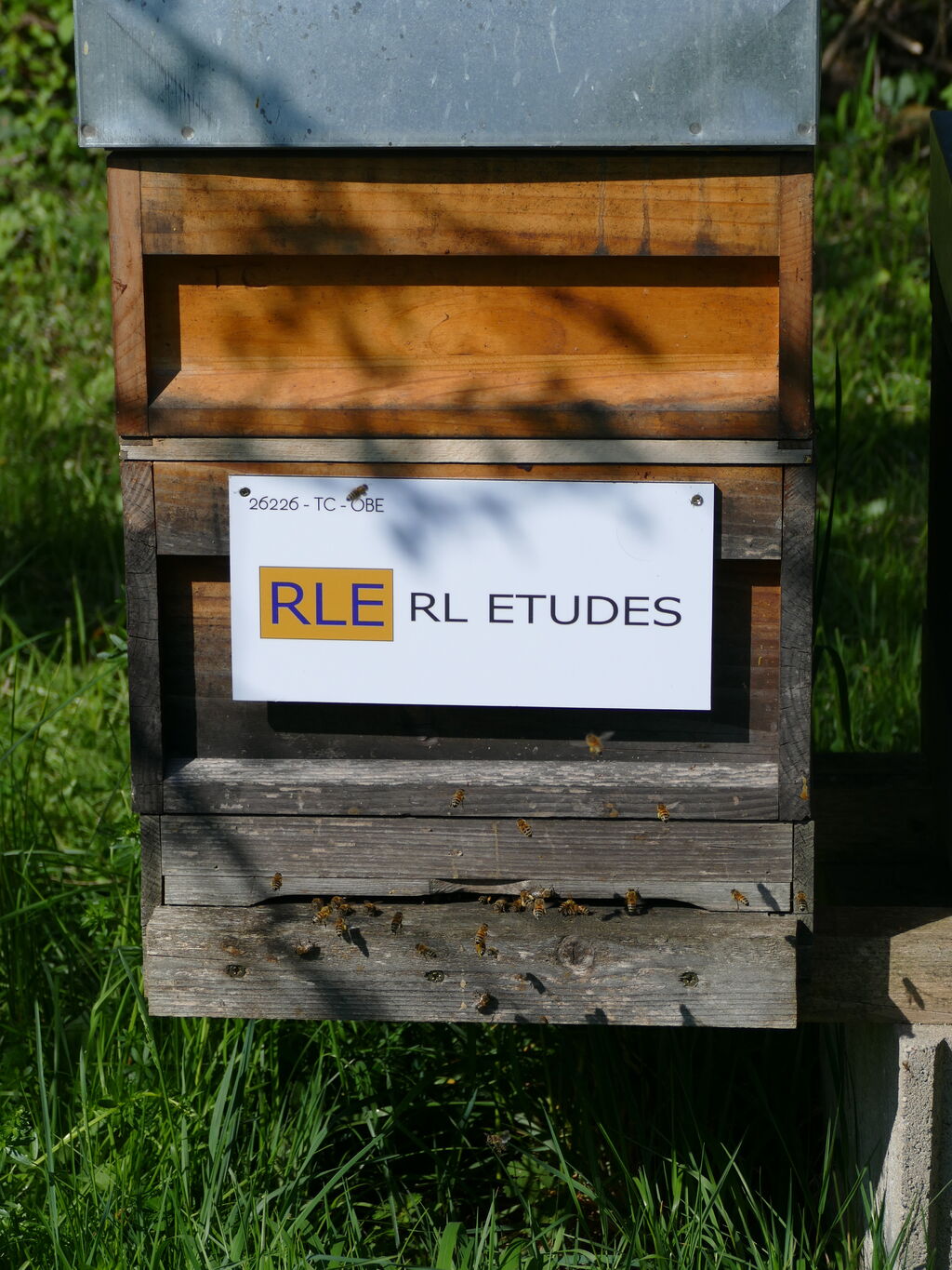 La ruche RL ETUDES