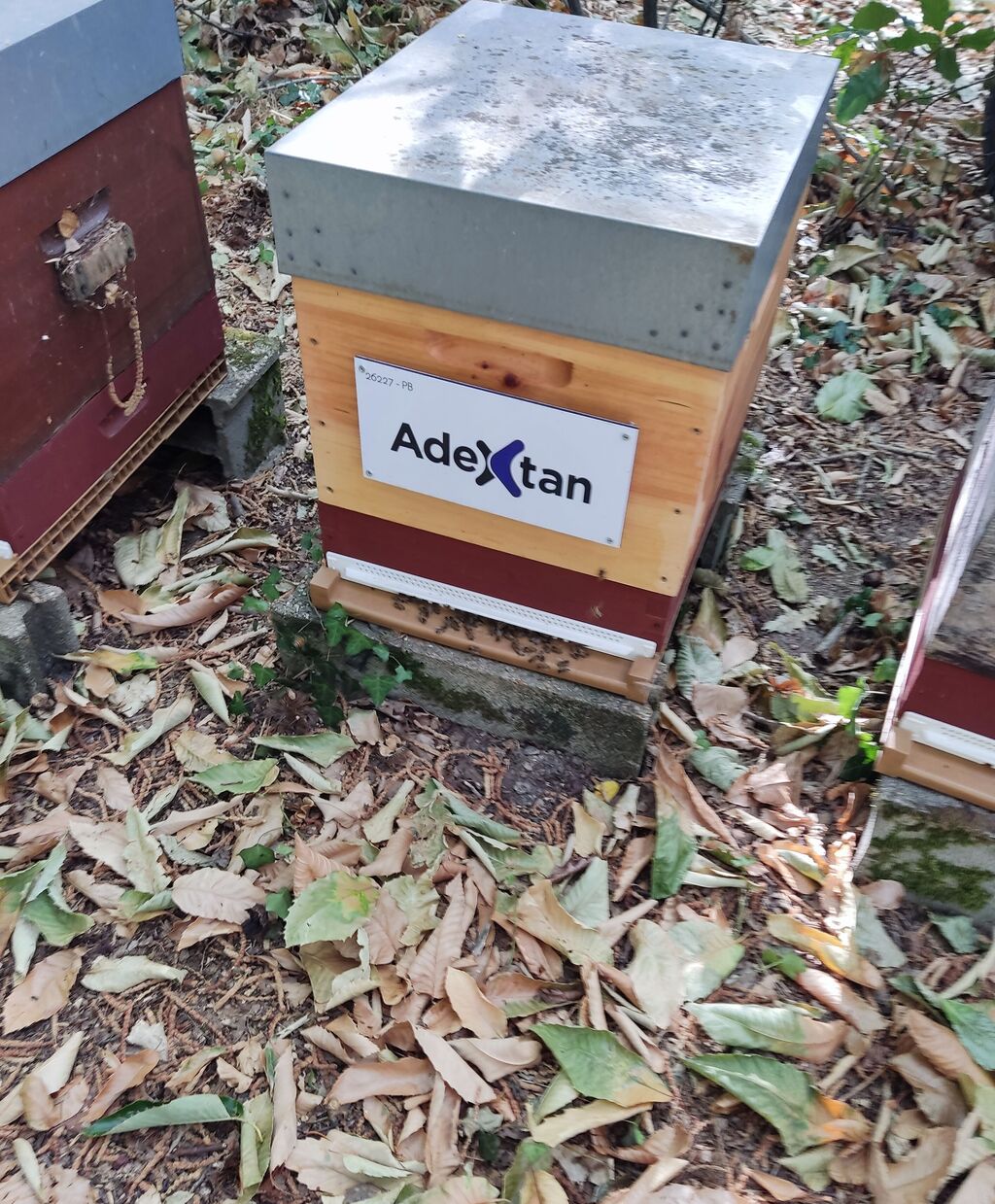 La ruche ADEXTAN