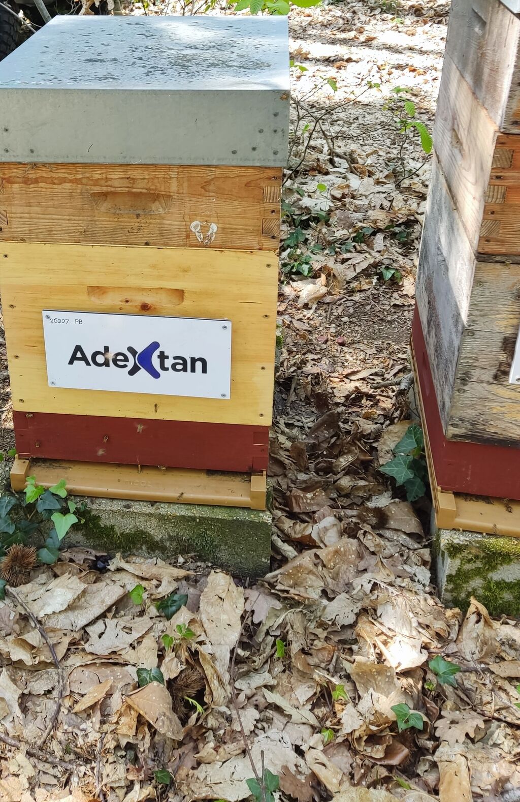 La ruche ADEXTAN