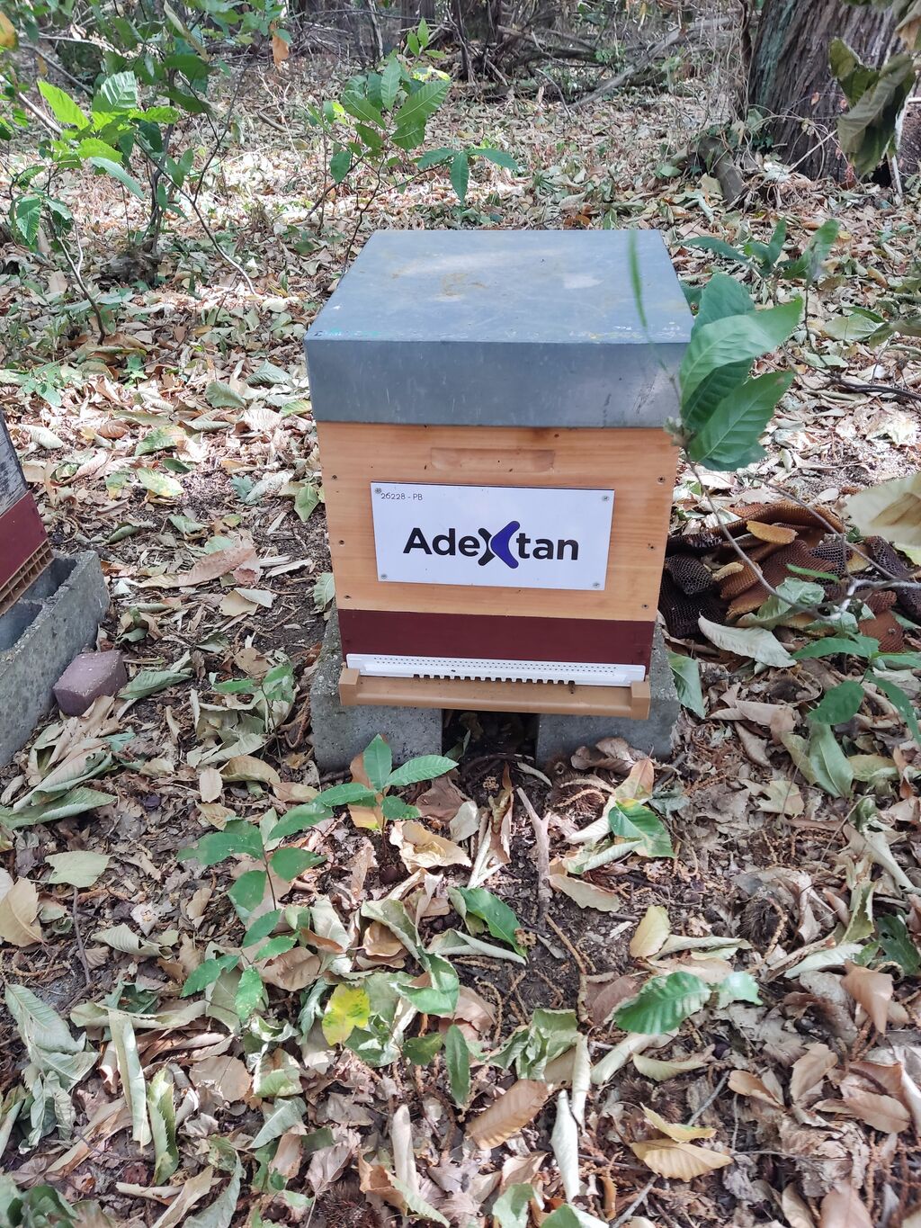 La ruche ADEXTAN