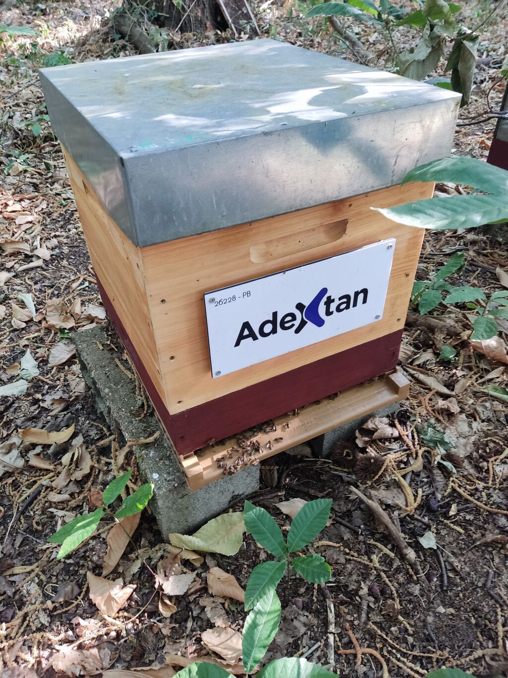 La ruche ADEXTAN