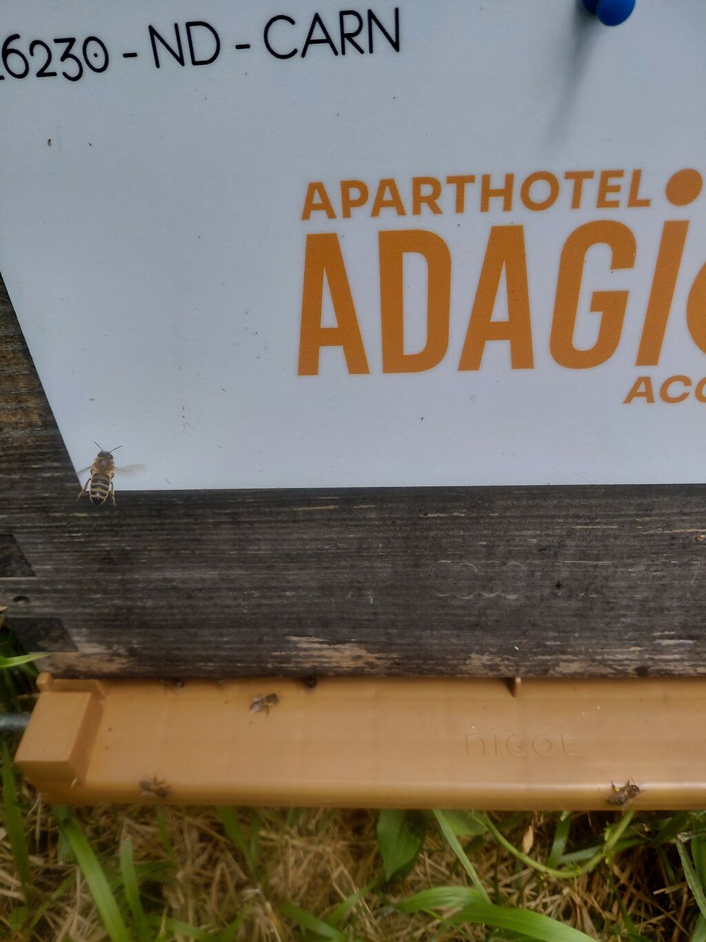 La ruche Adagio Access Paris Saint-Denis Pleyel