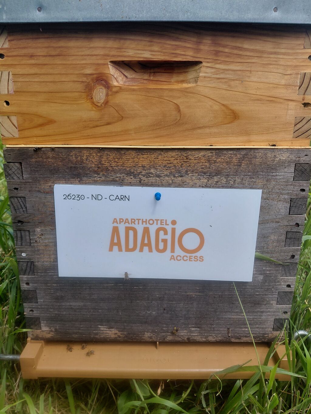 La ruche Adagio Access Paris Saint-Denis Pleyel