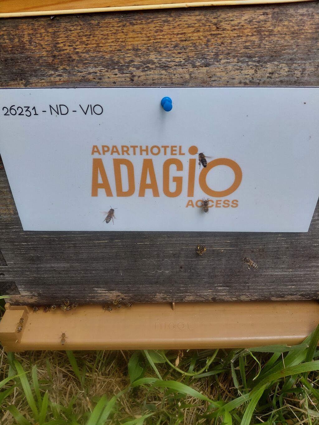 La ruche Adagio Access Ivry