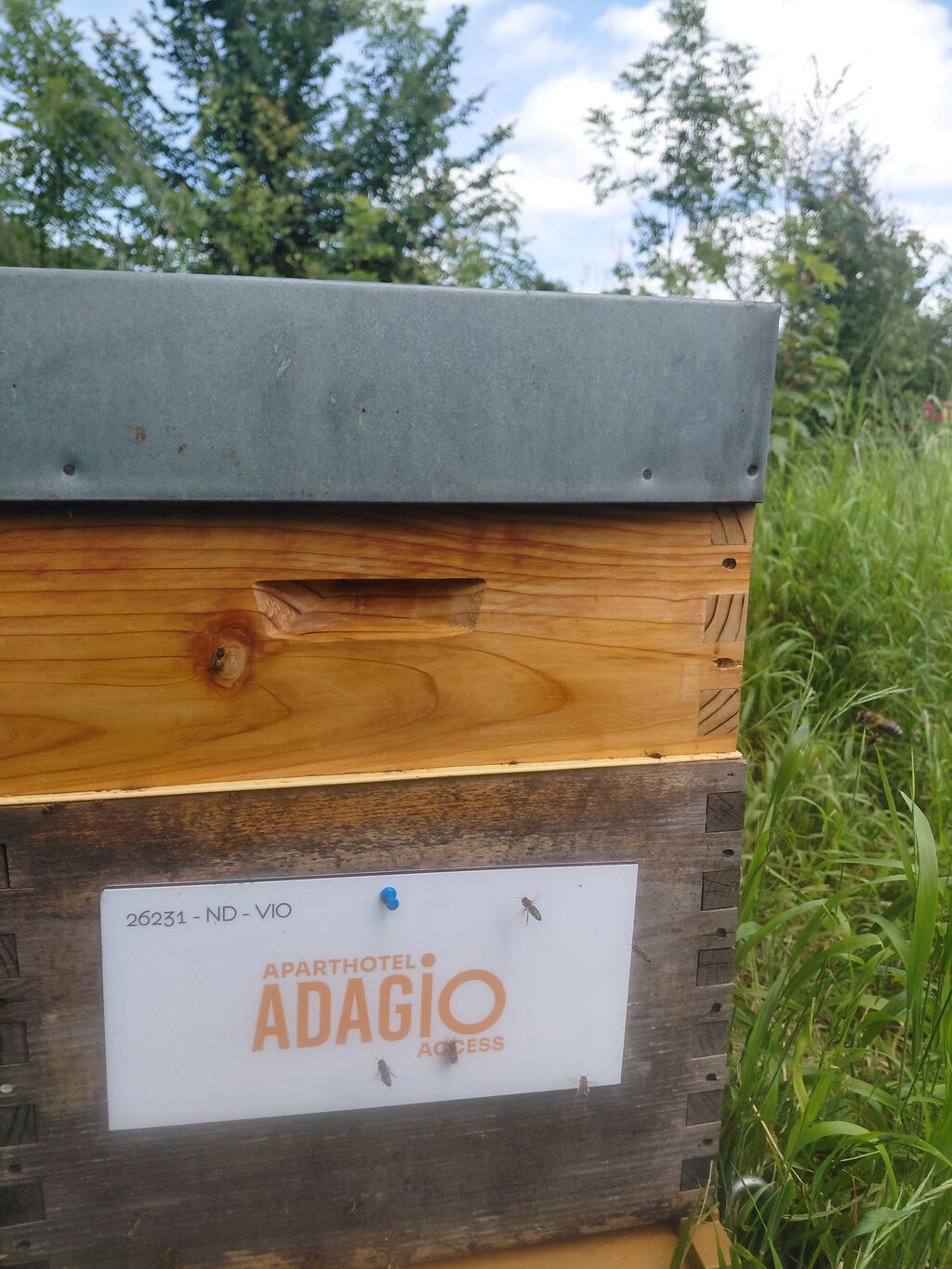 La ruche Adagio Access Ivry
