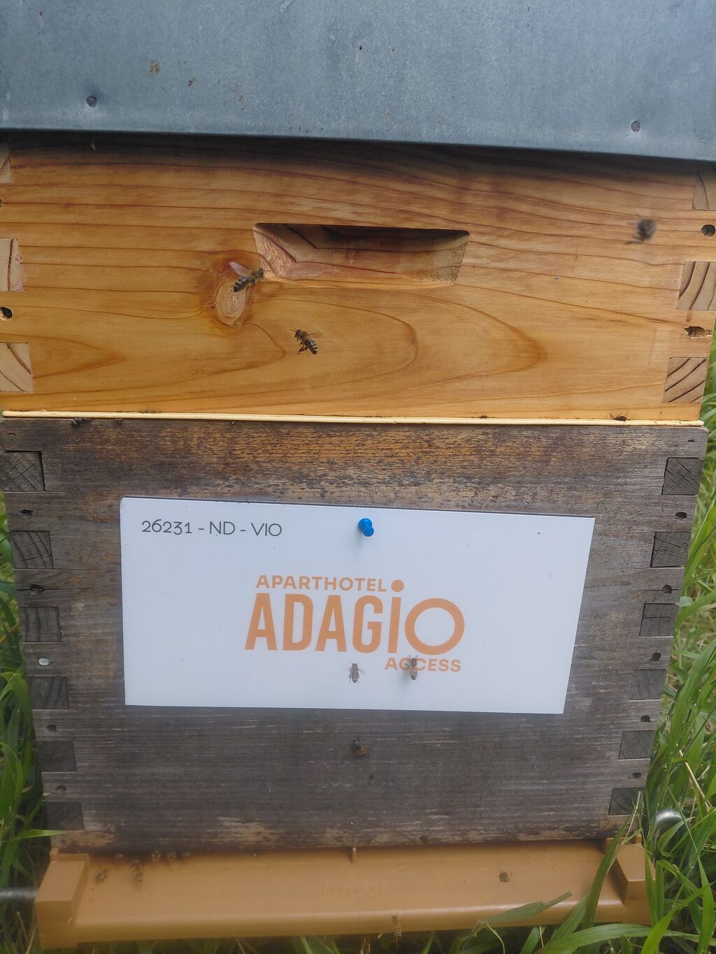 La ruche Adagio Access Ivry