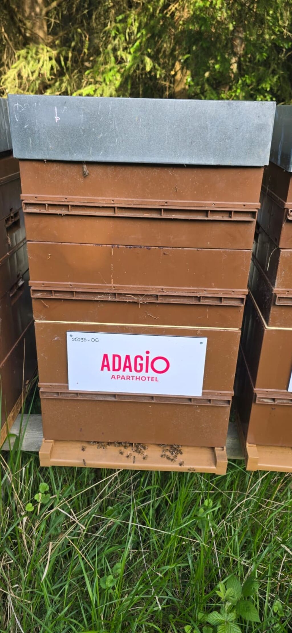 La ruche Adagio Paris XV